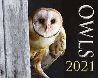 Owl Calendar Etsy barn owl calendar 2021