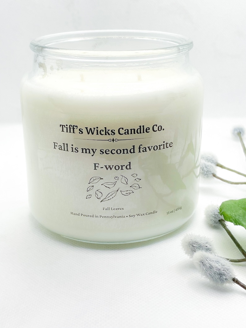 Fall Is my second favorite F-Word Fall Candle Fall Scented Candle Holiday Candle Curse Word Candle image 2