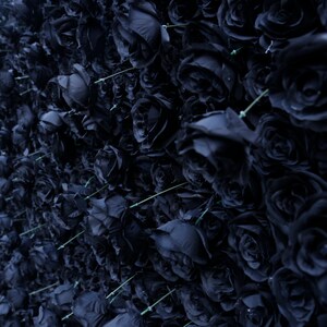 5D Balck Rose Flower Wall on Cloth, Artificial Flower Backdrop for ...