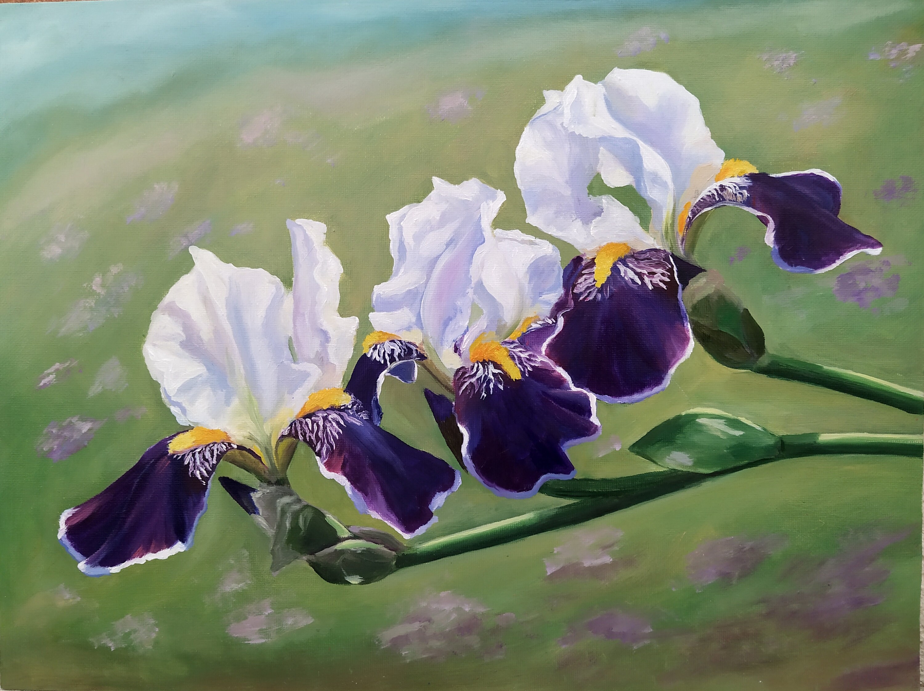 Iris Painting Original Art Flower Artwork Oil Painting Etsy