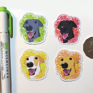 May include: Four dog stickers with a citrus fruit theme. Each sticker features a different dog breed with a different citrus fruit design. The stickers are printed on white paper and have a glossy finish.