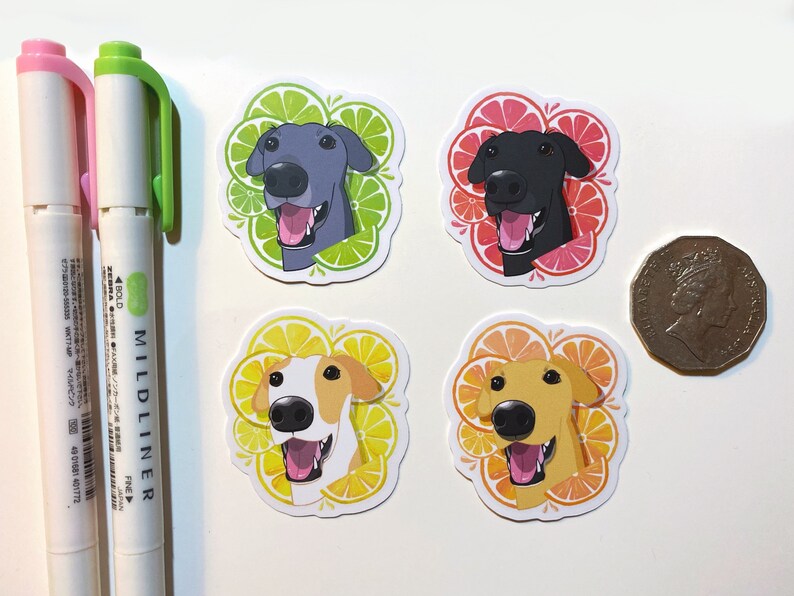May include: Four dog stickers with a citrus fruit theme. Each sticker features a different dog breed with a different citrus fruit design. The stickers are printed on white paper and have a glossy finish.
