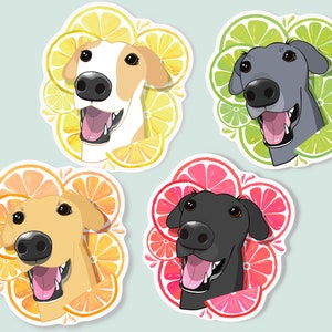 Citrus Greyhound Stickers Waterproof Matte Vinyl Stickers | Die Cut | 4 colour options | Greyhound Gifts | Black Blue Fawn Red Greyhound
