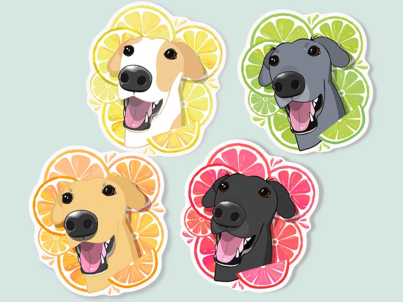 May include: Four illustrated dog faces with different fur colors and patterns, each surrounded by a circle of citrus fruit slices. The dog faces are all smiling with their tongues sticking out. The citrus fruit slices are in different colors, including yellow, green, and pink.