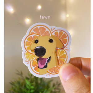 May include: A sticker featuring a cartoon illustration of a fawn with a happy expression, surrounded by orange and yellow citrus fruit slices. The sticker has the word "fawn" printed above the image.