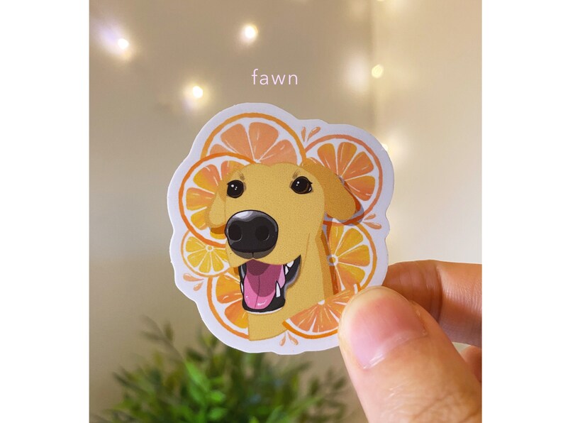 May include: A sticker featuring a cartoon illustration of a fawn with a happy expression, surrounded by orange and yellow citrus fruit slices. The sticker has the word "fawn" printed above the image.