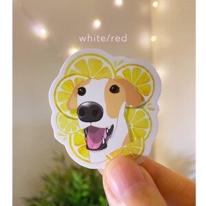 May include: White and brown dog with a lemon slice design sticker. The sticker has the words "white/red" on it.