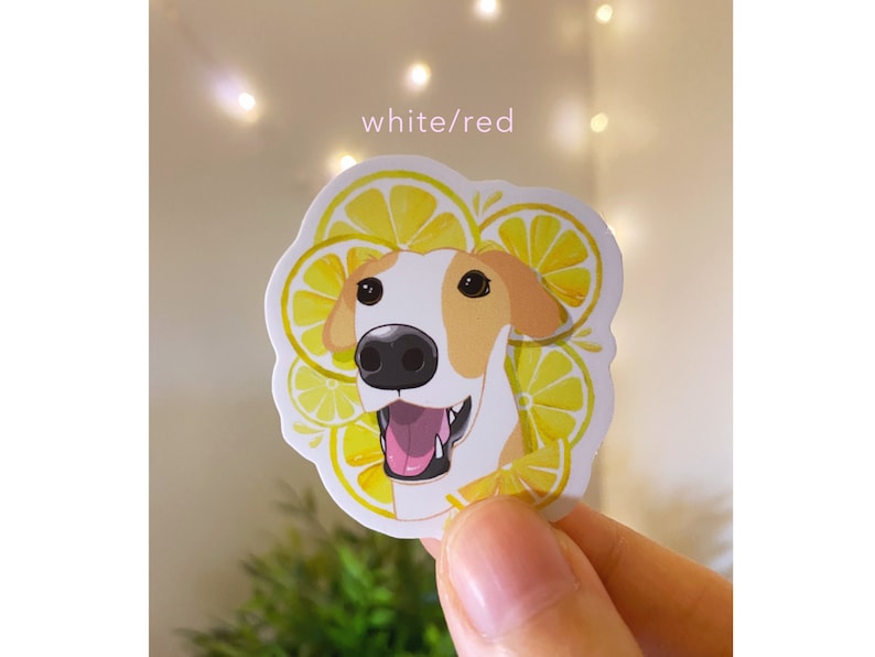 May include: White and brown dog with a lemon slice design sticker. The sticker has the words "white/red" on it.