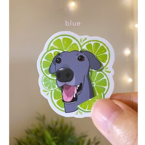 May include: A sticker featuring a cartoon illustration of a blue grey dog with a lime green background. The dog is smiling with its tongue sticking out. The background is a pattern of lime slices.