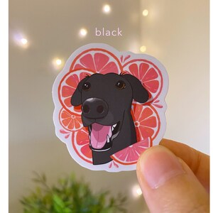 May include: A black dog with a pink tongue sticking out, surrounded by a pink and white grapefruit design. The sticker is on a white background.