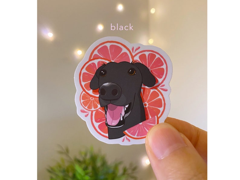 May include: A black dog with a pink tongue sticking out, surrounded by a pink and white grapefruit design. The sticker is on a white background.