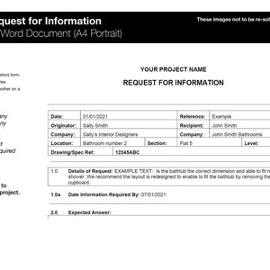 RFI (Request for Information) form, EDITABLE Microsoft Word Template | Request for Information Template