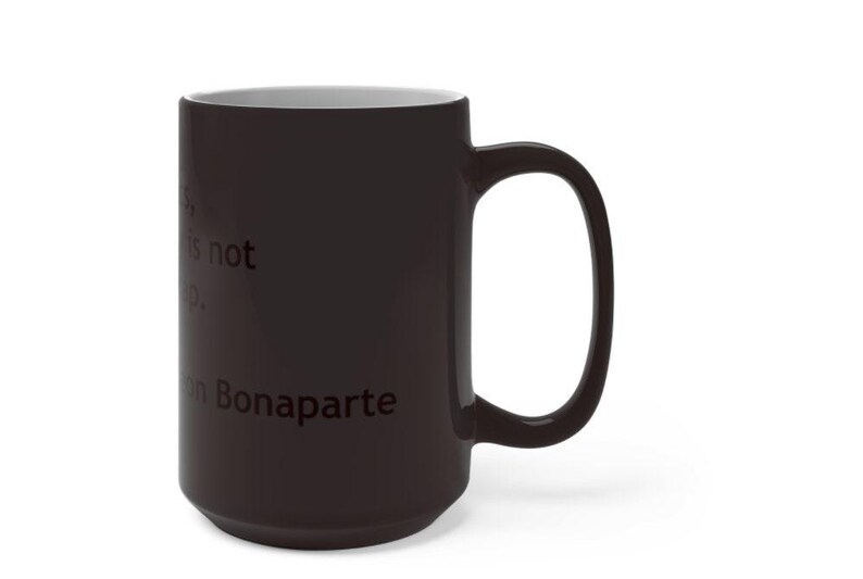 Stupidity is Not a Handicap, Funny Jokes,sarcastic Quotes Mug/printed