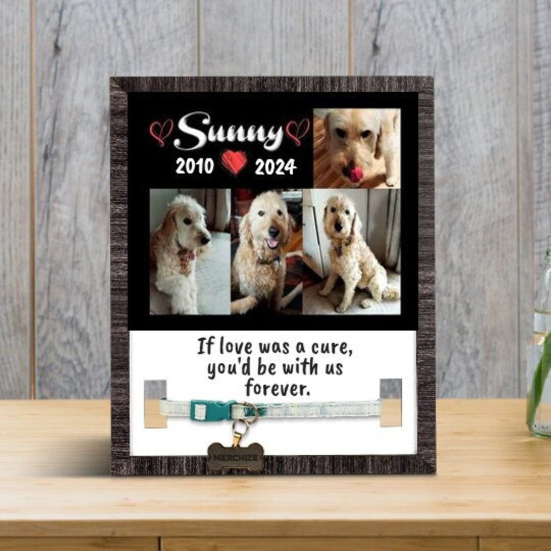 Personalized Pet Collar Memorial Frame Keepsake,custom Pet Collar