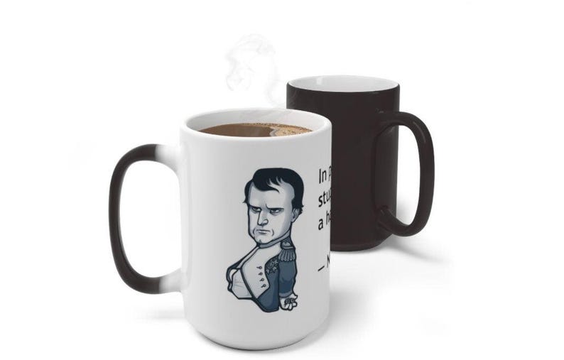 Stupidity is Not a Handicap, Funny Jokes,sarcastic Quotes Mug/printed