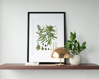 Cannabis Botanical Stoner Wall ART, Art Printable, Retro Art, Printable Poster, Weed Art, Digital Download Wall Art