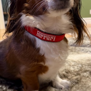 Ferrari Pet Collar