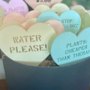 Custom Plant Stakes - Personalized Flower Decor - Sweetheart - Custom Sayings - Laser Engraved Acrylic Plant Markers - Your Custom Message