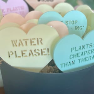 Sweetheart Personalized Acrylic Plant Stakes – Laser Engraved Garden Markers, Custom Message