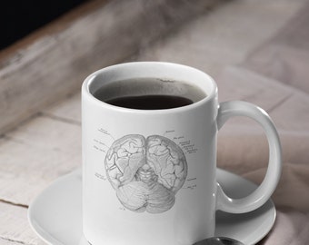 Anatomy of Human Brain Coffee Mug: Neuroscience Neurology Art Gift