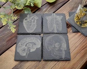 Anatomical Medical Illustrations on Slate Coasters set of 4 - Perfect Gift for the Rad Tech in Your Life