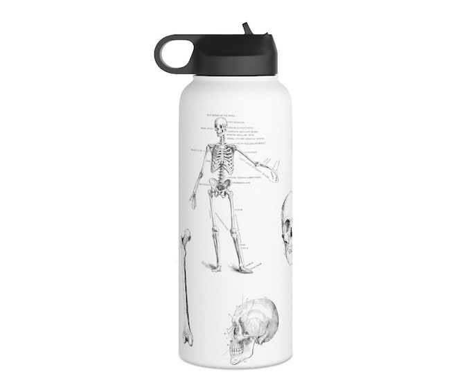 Human Skeleton Anatomy Water Bottle (18oz, and 32oz)