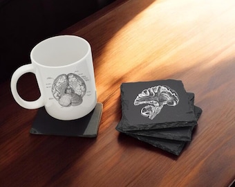 Neuroscience Gift Box Set Featuring 4 engraved Coasters & 11oz Coffee Mug, Medical Student Gift, Rad Tech Gift, Doctor Gift