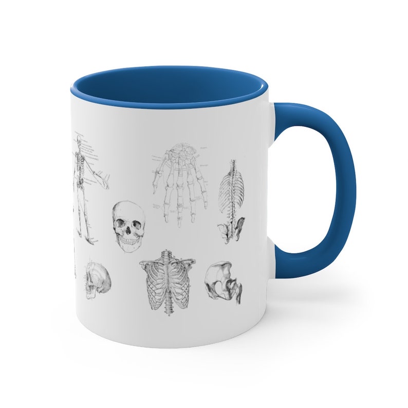 May include: White ceramic mug with a blue rim and handle. The mug features a black and white illustration of various human skeletal structures, including a full skeleton, skull, rib cage, hand, and spine.