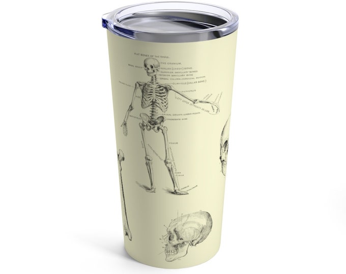 Human Skeleton Anatomy Tumbler 20oz