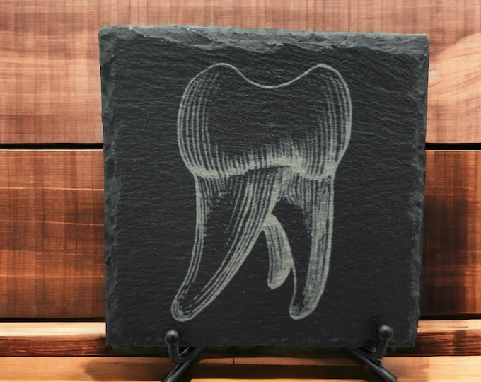 Dental Elegance: Laser-Engraved Slate Coasters Set of 4 Featuring Teeth Anatomy - Perfect Dental Decor for Professionals and Enthusiasts