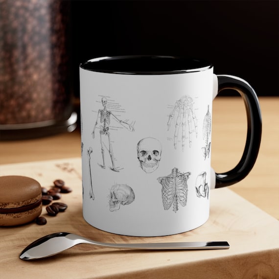 Anatomical Skeleton Coffee Mug: Rad Tech Gift, Doctor Gift (11oz)