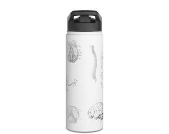 Neuroscience Stainless Steel Water Bottle: Medical Anatomy Art - 18oz/32oz