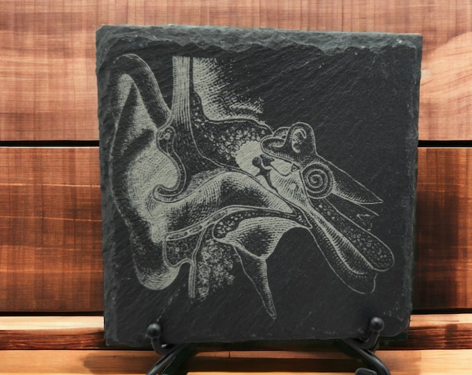 Ear Anatomy Laser-Engraved Slate Coasters Set of 4, Doctor's Desk Decor, Unique Physician Gift, Anatomical Art Coasters