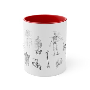 May include: White ceramic mug with a red rim. The mug features a black and white anatomical illustration of a human skeleton with various bones and a skull.