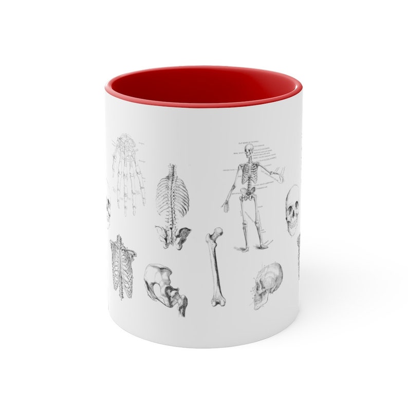 May include: White ceramic mug with a red rim. The mug features a black and white anatomical illustration of a human skeleton with various bones and a skull.
