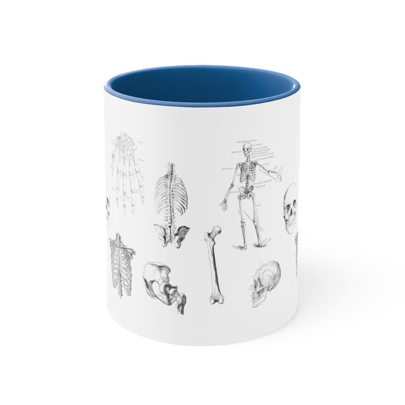 May include: White ceramic mug with a blue interior. The mug features a black and white illustration of a human skeleton with various anatomical details.