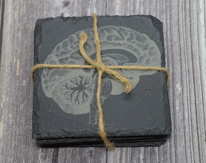 Neuroscience Anatomy of Human Brain Laser Engraved Slate Coasters set of 4, Medical Student Gift, Rad Tech Gift, Neurology Art, Doctor Gift