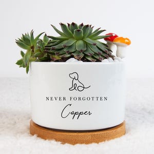 May include: White ceramic planter with a succulent plant, two small mushroom figurines, and the text "NEVER FORGOTTEN Copper" in black lettering.