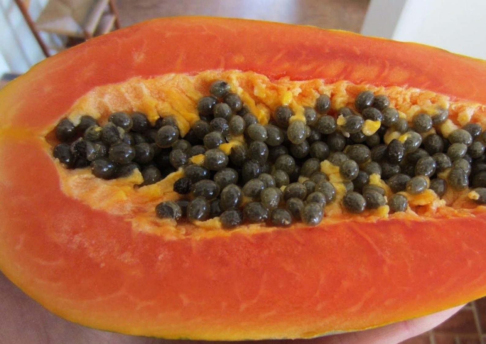 High Quality 100 Organic Dried Papaya Seeds and Powder From Etsy