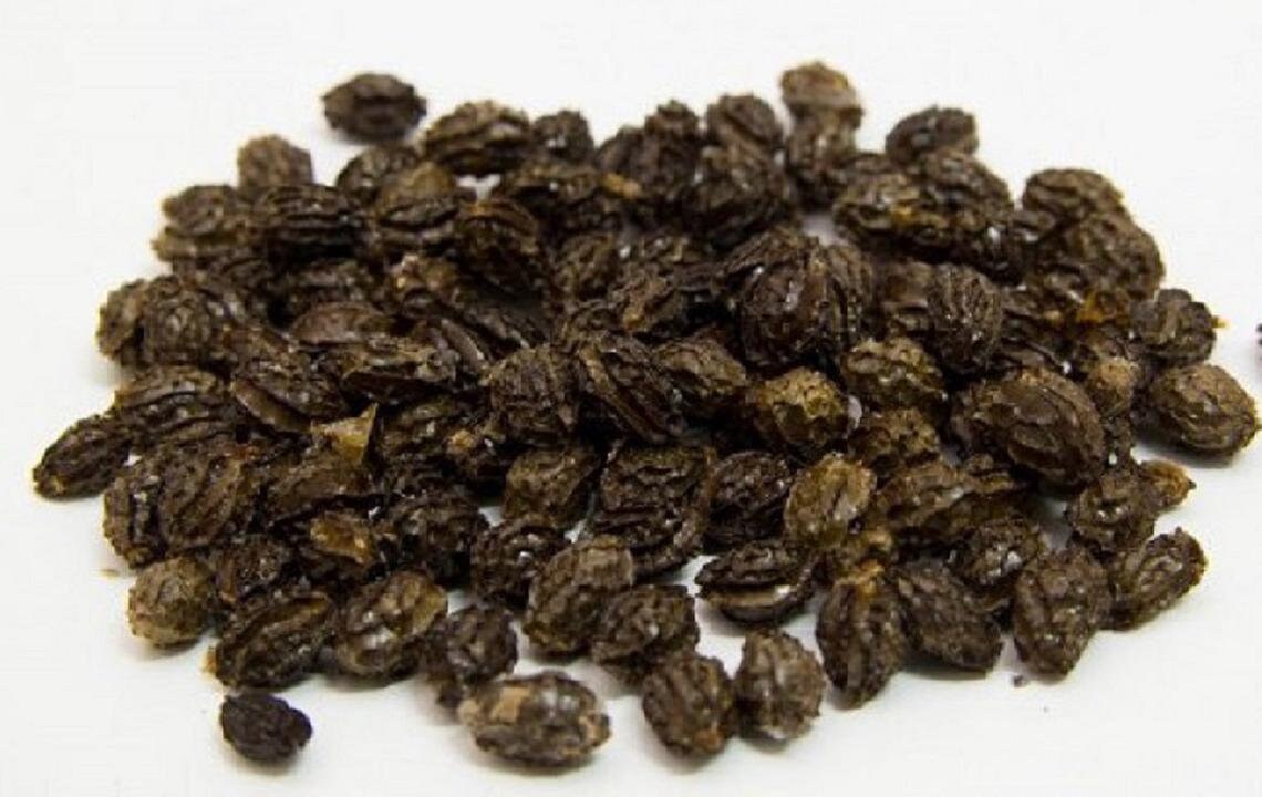 High Quality 100 Organic Dried Papaya Seeds and Powder From Etsy
