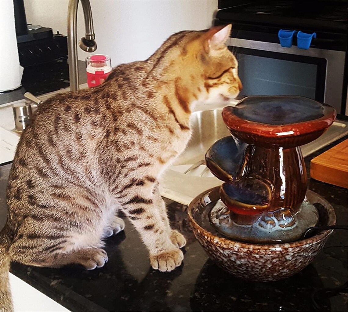Tabletop Water Fountain Indoor Water Fountain for Pets Cat Etsy