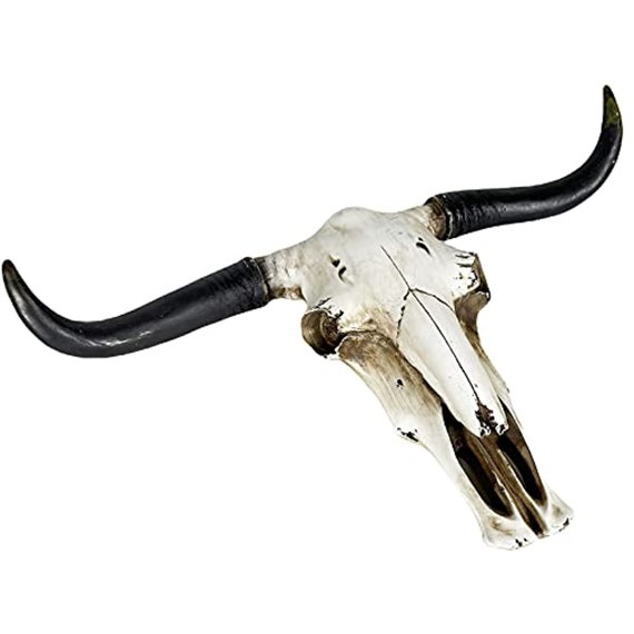 Urbalabs Western Natural Longhorn Cow Skull and Horns - Etsy