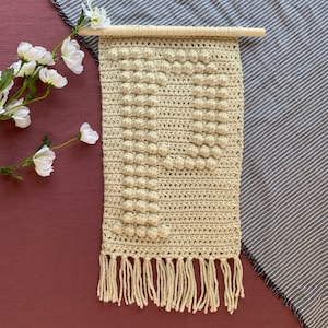 May include: A beige crocheted wall hanging with a fringe border. The hanging features a textured design with raised circles.