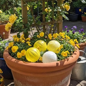 Juego de 5 flotadores de vidrio soplado a mano amarillos, orbes de jardín hechos a mano, textura única / flotadores de estanque / listos para enviar / tamaño mediano de 3,5 pulgadas /