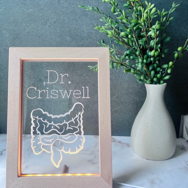 LED Acrylic Frame Anatomical Colorectal Doctor Gift Med School Graduation Colorectal Surgeon Gift Colon Anatomy Colorectal Doctor Birthday