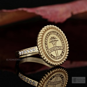 Ring universiteit, afstudeercadeau, klasseringen, ring hogere klassen, ring hogeschool, schoolring, ring middelbare school