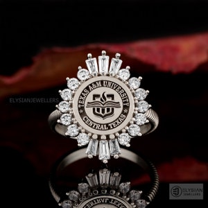 Universiteit Ring, Afstudeercadeau, Klas Ringen, Senior Class Ring, College Class Ring, School Ring, High School Ring