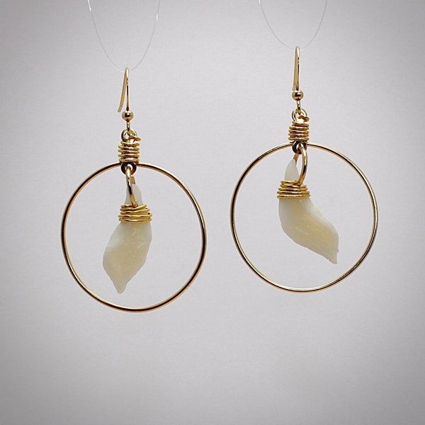 Gold Hoops with Wire Wrapped Gar Scales