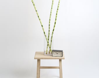 Lucky Bamboo Water Plant 1XL 36"