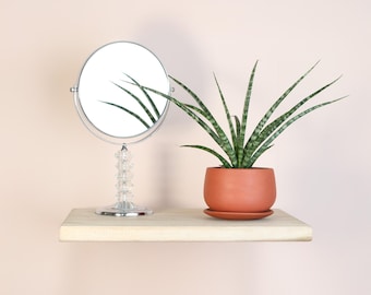 Snake Plant – Sansevieria Fernwood– Live Easy-Care Indoor Houseplant with Upright Cylindrical Leaves